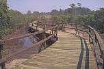 curved boardwalk boondall wetlands.jpg